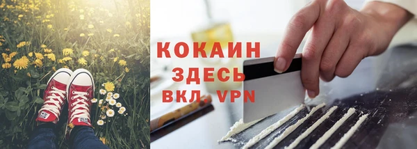PSILOCYBIN Аркадак