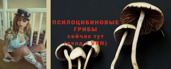 PSILOCYBIN Аркадак