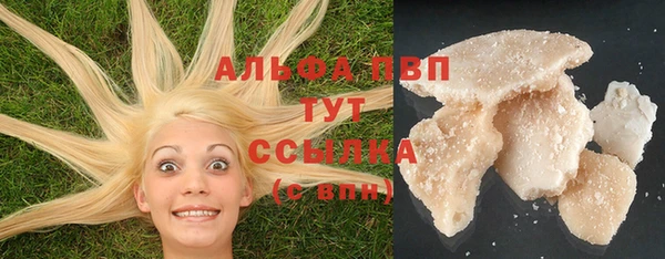 PSILOCYBIN Аркадак