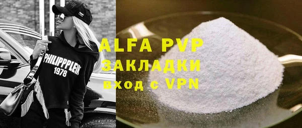 индика Зеленодольск